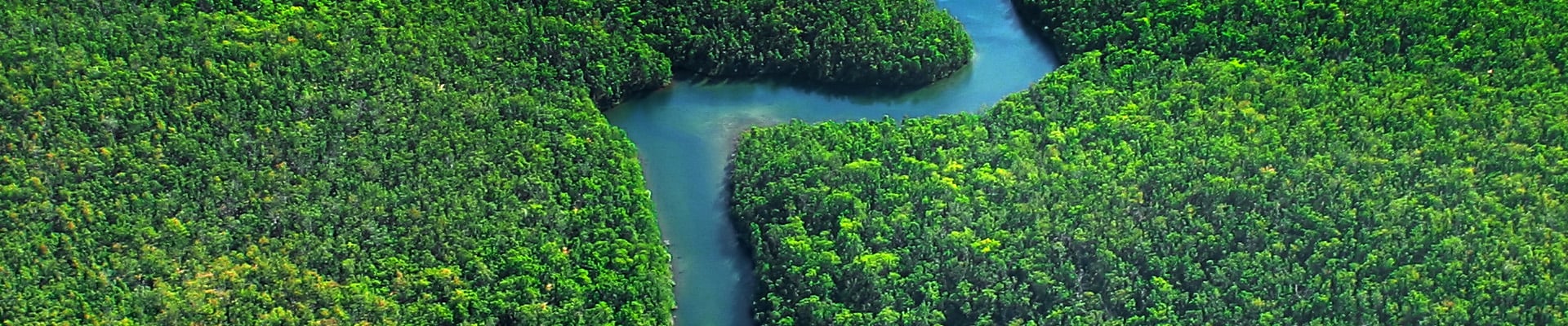 sustainability-page_amazon-river