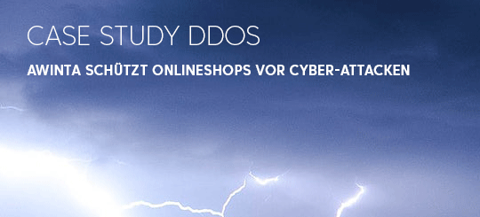 Case Study DDoS-Schutz