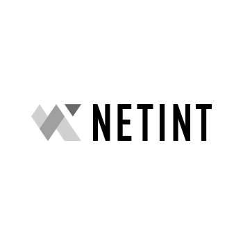 logo_page_company_netint-grayscale
